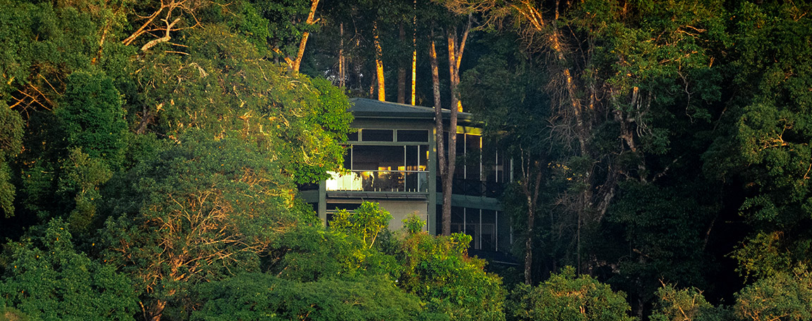 Casa Del Río - El Genio Osa Peninsula